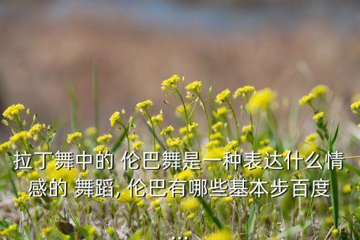 拉丁舞中的 伦巴舞是一种表达什么情感的 舞蹈, 伦巴有哪些基本步百度...