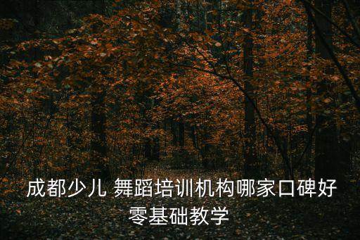 成都儿童学舞蹈,成都明星舞者街舞培训学校要考虑是否要考艺考
