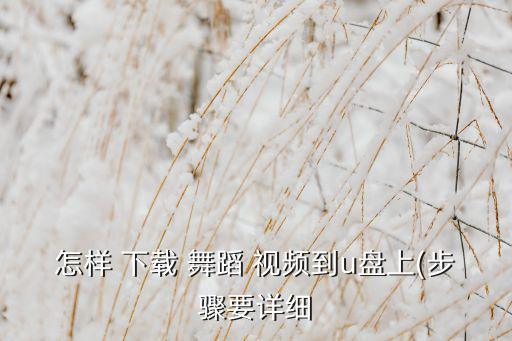 怎样 下载 舞蹈 视频到u盘上(步骤要详细