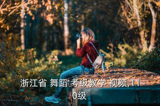 浙江省 舞蹈 考级教学 视频,110级