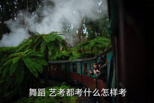 舞蹈艺考流程,艺考考前培训机构开始准备高二下学期学习