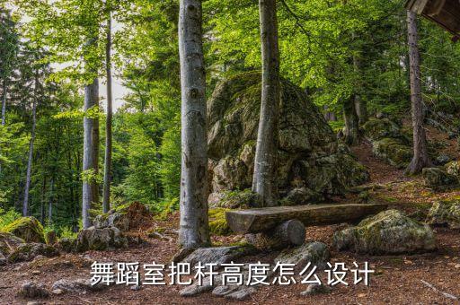  舞蹈室把杆高度怎么设计