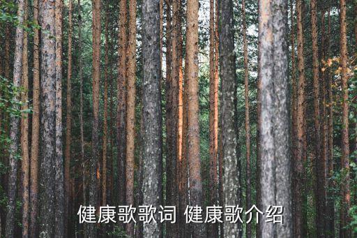  健康歌歌词 健康歌介绍