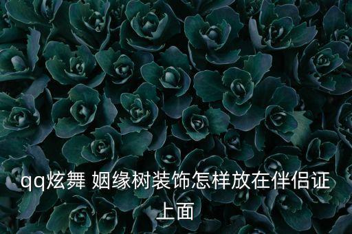 qq炫舞 姻缘树装饰怎样放在伴侣证上面