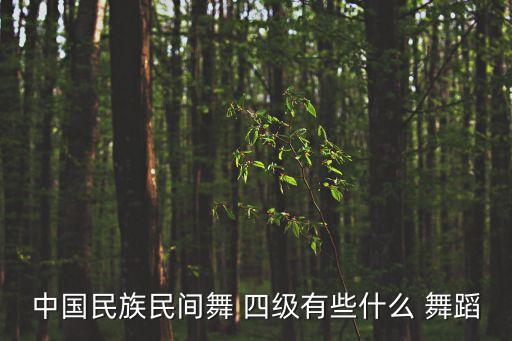 舞蹈考级四级歌词,中国舞蹈家协舞蹈考级教材（第3版）