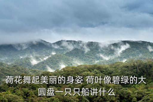 荷花舞起美丽的身姿 荷叶像碧绿的大圆盘一只只船讲什么