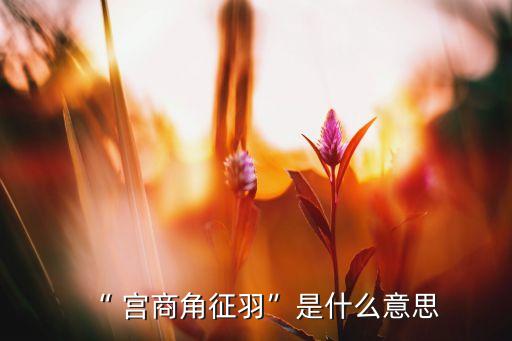 “ 宫商角征羽”是什么意思