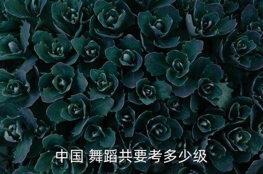 中国 舞蹈共要考多少级
