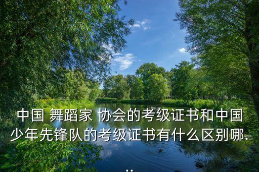 中国 舞蹈家 协会的考级证书和中国少年先锋队的考级证书有什么区别哪...