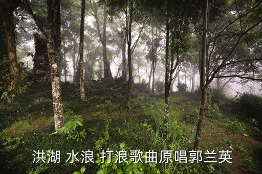 陈小云舞蹈洪湖水浪打浪,洪湖水浪打浪原曲不是郭,而是傅凌