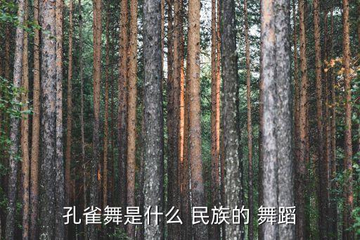 孔雀舞是什么 民族的 舞蹈