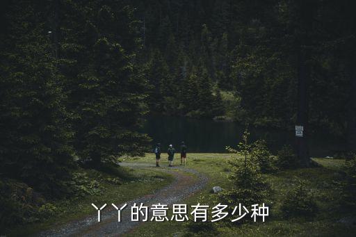 新密丫丫舞蹈学校,五年来见证了丫丫舞蹈学校的成长与发展