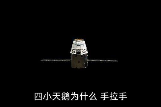 四小天鹅为什么 手拉手