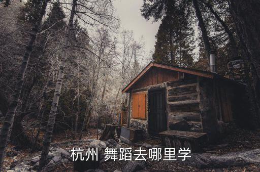 杭州 成人舞蹈,杭州易哲舞蹈培训学校成立多年培养多名艺术生