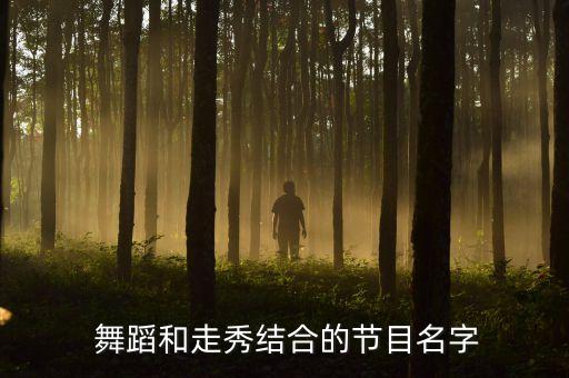  舞蹈和走秀结合的节目名字