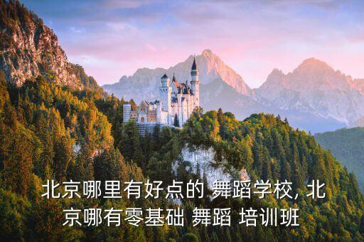  北京哪里有好点的 舞蹈学校, 北京哪有零基础 舞蹈 培训班