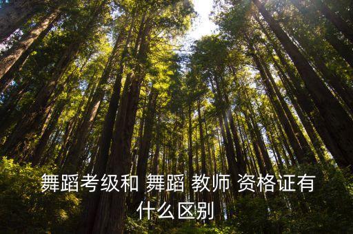  舞蹈考级和 舞蹈 教师 资格证有什么区别