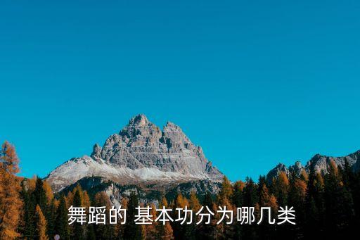 舞蹈基本功的名称,舞蹈基本功有助提高舞蹈水平
