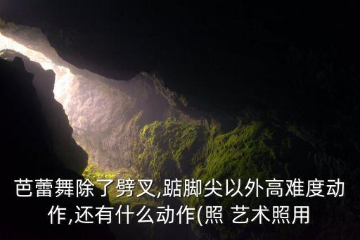 芭蕾舞除了劈叉,踮脚尖以外高难度动作,还有什么动作(照 艺术照用