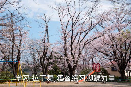 学习 拉丁舞,怎么练习脚踝力量