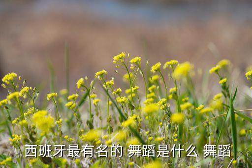  西班牙最有名的 舞蹈是什么 舞蹈
