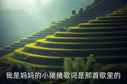 我是妈妈的小猪猪歌词是那首歌里的