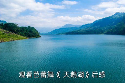 天鹅湖舞蹈艺术赏析,芭蕾舞天鹅湖赏析（一）