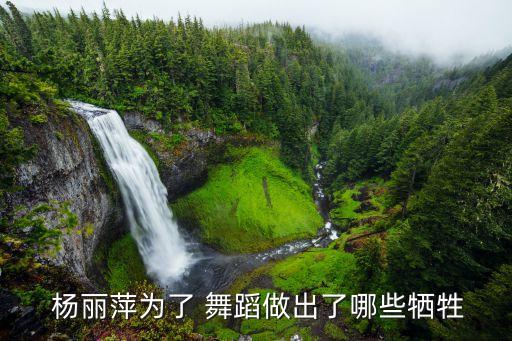  杨丽萍为了 舞蹈做出了哪些牺牲