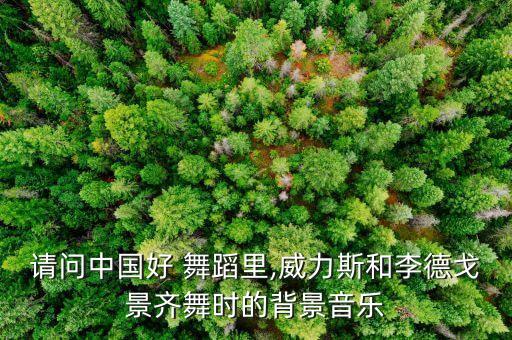 请问中国好 舞蹈里,威力斯和李德戈景齐舞时的背景音乐