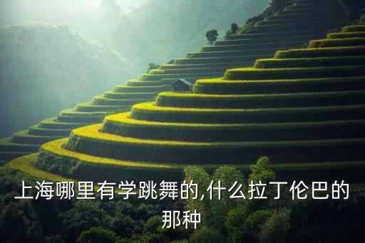 舞之梦舞蹈,上海文光舞之梦舞蹈学校有专业舞蹈老师