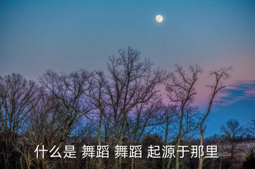 什么是 舞蹈 舞蹈 起源于那里