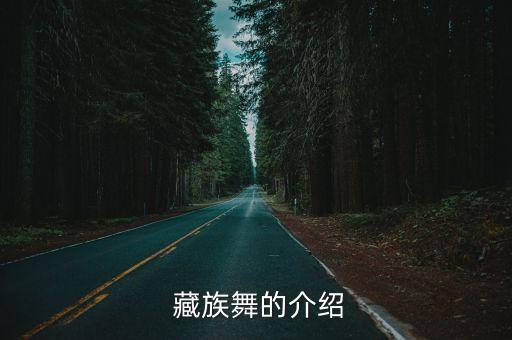  藏族舞的介绍