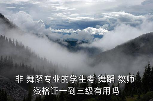 非 舞蹈专业的学生考 舞蹈 教师 资格证一到三级有用吗