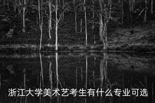  浙江大学美术艺考生有什么专业可选