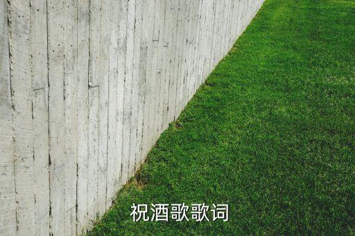 舞蹈 祝酒歌广场舞,醉酒宋