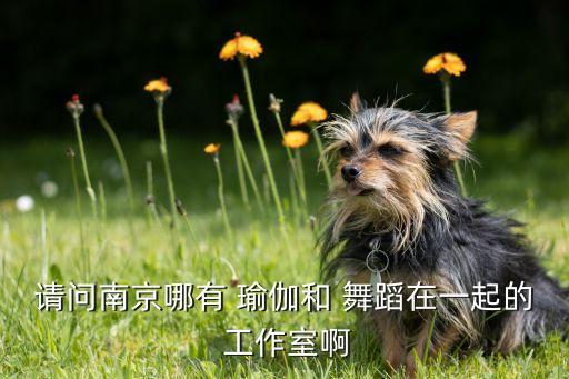 请问南京哪有 瑜伽和 舞蹈在一起的 工作室啊
