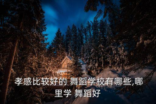 孝感舞蹈视频,舞蹈是一种生活态度