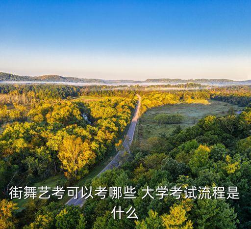 街舞艺考可以考哪些 大学考试流程是什么