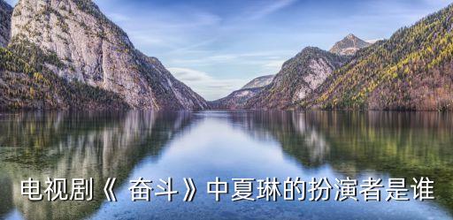电视剧《 奋斗》中夏琳的扮演者是谁