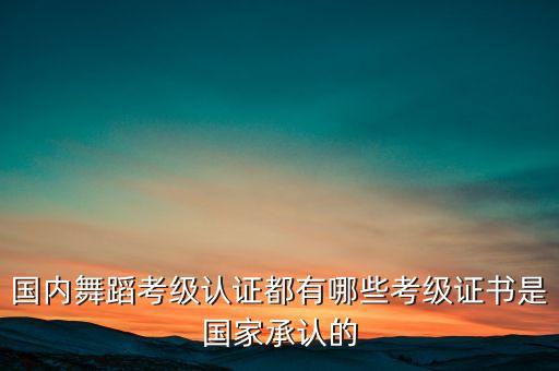 国内舞蹈考级认证都有哪些考级证书是国家承认的