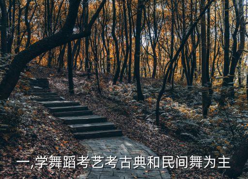 舞蹈一,学舞蹈考艺考古典和民间舞为主