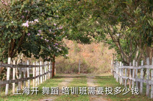 舞蹈班培训基地标准,舞蹈教室开业须具备哪些基本条件?