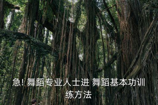 女子舞蹈基训技巧,基础舞蹈训练网上找到初级课程学习方法
