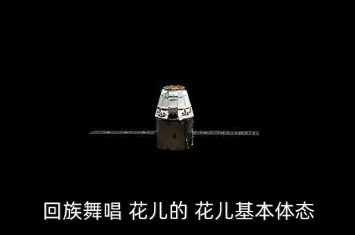 回族舞唱 花儿的 花儿基本体态