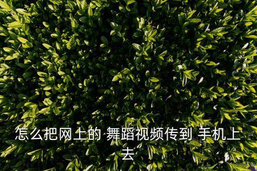 怎么把网上的 舞蹈视频传到 手机上去
