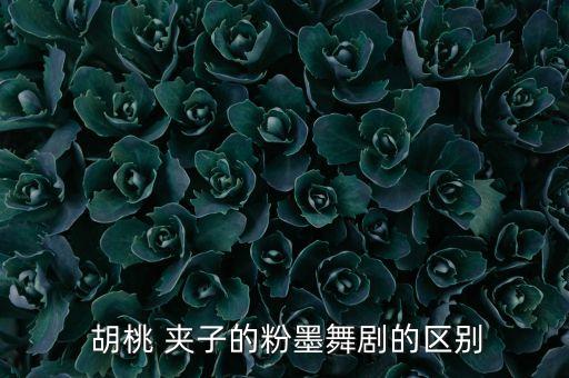  胡桃 夹子的粉墨舞剧的区别