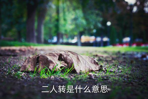 二人转转歌舞蹈,东北二人转让出生地辽宁黑山县