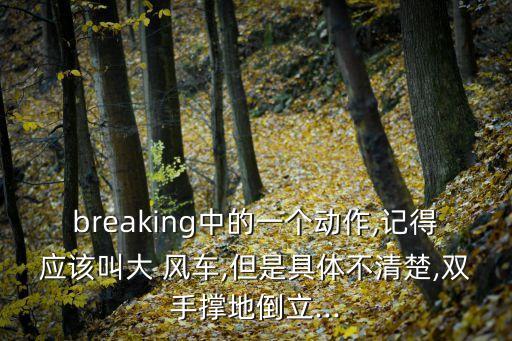 breaking中的一个动作,记得应该叫大 风车,但是具体不清楚,双手撑地倒立...