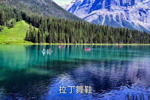  拉丁舞鞋
