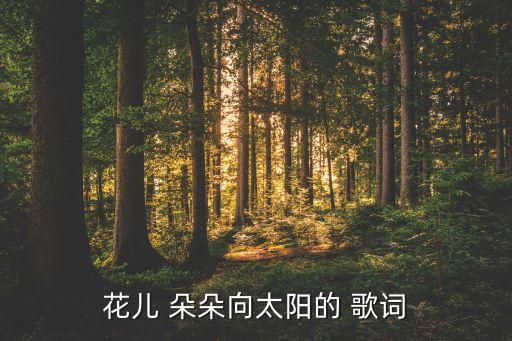 花儿 朵朵向太阳的 歌词